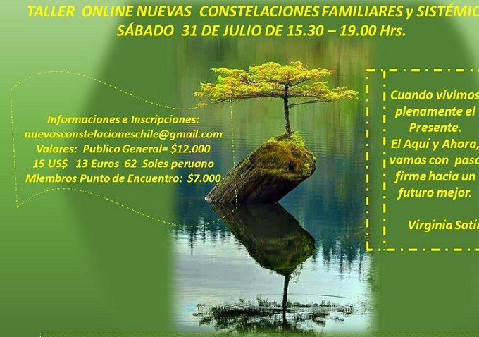 TALLER NUEVAS CONSTELACIONES FAMILIARES  31 de Julio